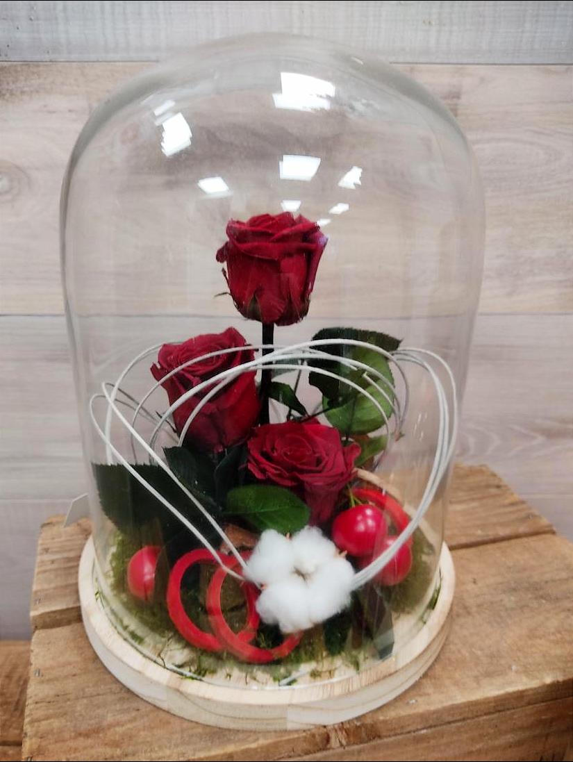 Cloche en verre et sa rose éternelle